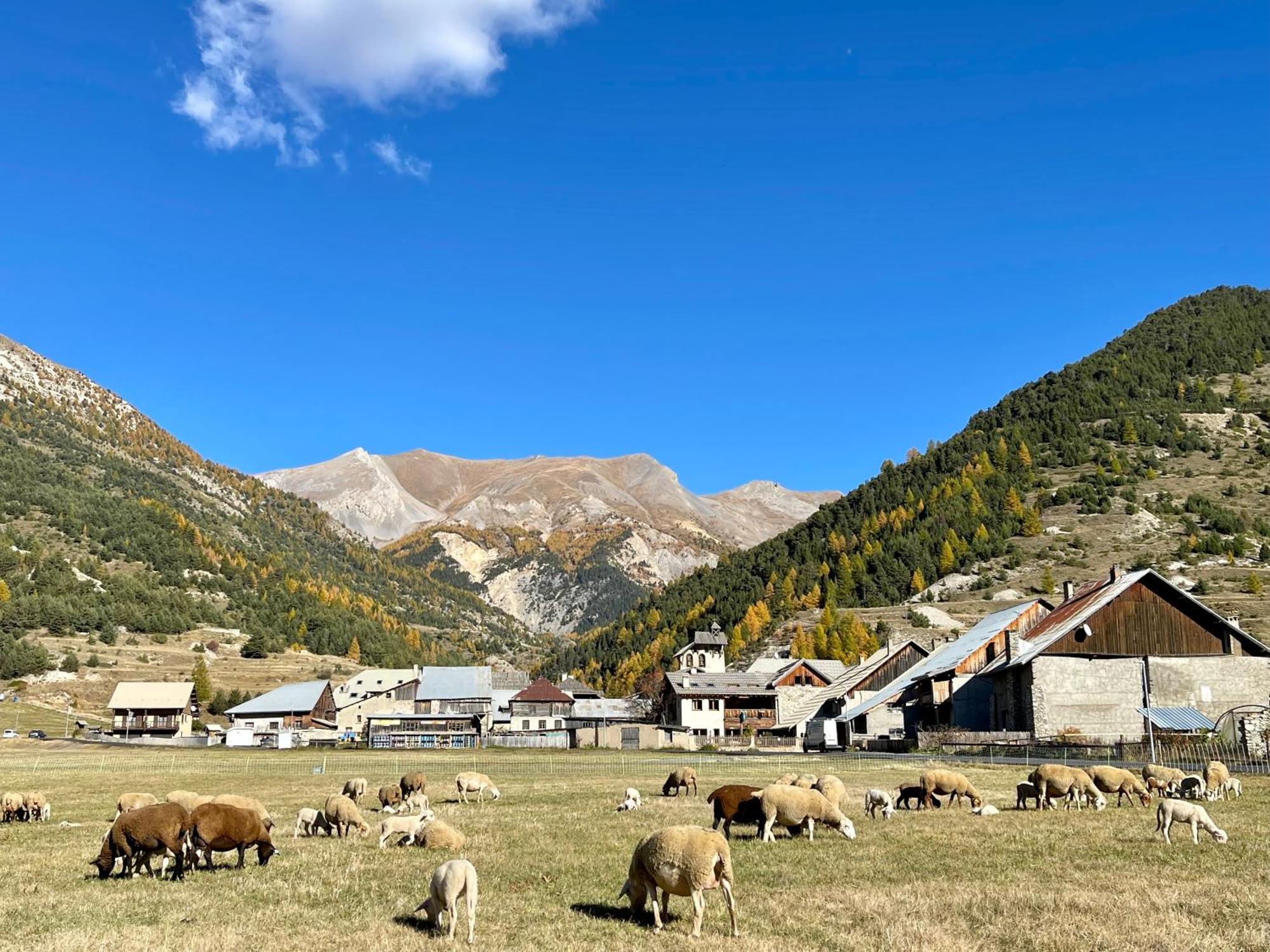 Gite Montagne 1 A 25 Places "Chalet Coste Belle" Сейак Экстерьер фото